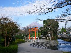 枠玉池を水源とする神田川に沿って歩いてきます