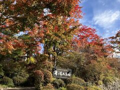 草津ホテルの紅葉はいつも素晴らしい。今回は少し早かったようでした。