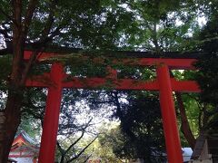 花園神社も何年ぶりだろう。