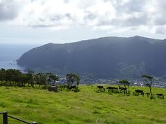 レンタカーを借り、天気も良いのでいざ登るぞ！とやる気満々
その前に水分補充、最寄りだとふれあい牧場に自販機があるというので、まずそこに向かう。トイレもこの先ない
最後の水分補充と、余分な水分廃棄（笑）