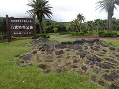 夕刻の飛行機の出発まで、八丈植物公園を散策した
この石の形は八丈島の形を表しているそうだ
向こう側に八丈富士、手前は三原山
ちょうど、ひょっこりひょうたん島のような形
