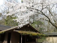 河合神社には鴨井長明が住んでいたという方丈庵の復元があります。
緑の苔がまたいい感じ。