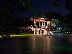 肝試しのような気分で歩いて向かったのは奈良公園内鷺池にある浮見堂。
檜皮葺き(ひわだぶき)の八角堂形式(六角形だけど)のお堂。
暗い中に浮かぶ浮見堂なかなか美しかった。