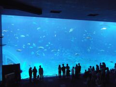 沖縄美ら海水族館
