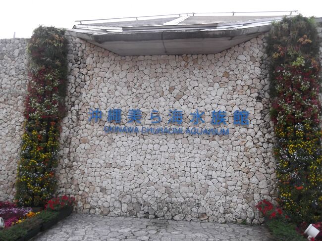 閉館時間が予定より早かったので駆け足となった。<br />海洋博公園の見る時間がなく少し残念。<br />