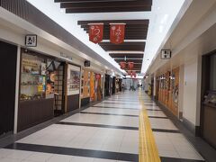 鹿児島中央駅のぐるめ横丁。
もう閉まってます。