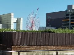 パレットタウンの観覧車も見えます。