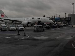 バスを降りたら写真を撮る人がたくさん。
こういう位置で飛行機を見られることって少ないもんね。
一緒になって撮影してみました。