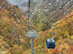 雨でも紅葉はキレイに見えて良かったです。