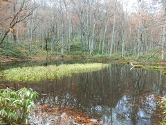 鏡沼。

一番小さい沼ですが、とてもいい雰囲気。