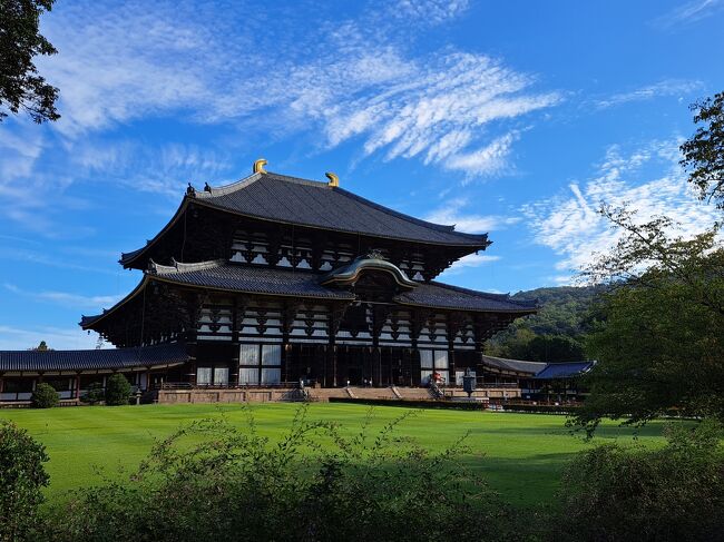 2022 名古屋・奈良】4 緑いっぱいの若草山から奈良の街を 2022 名古屋・奈良】4 緑いっぱいの若草山から奈良の街を
