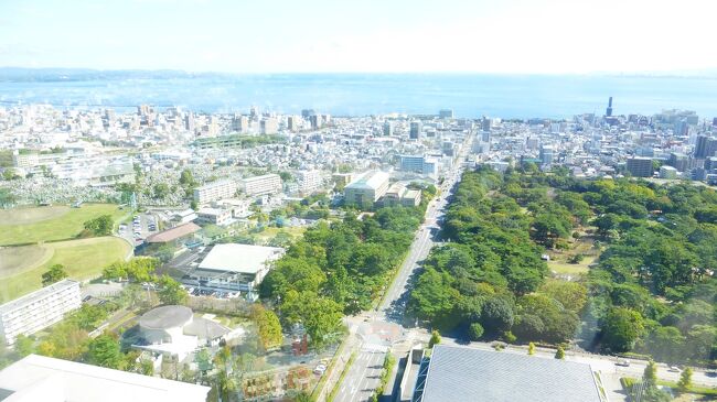 別府湾が見えています。