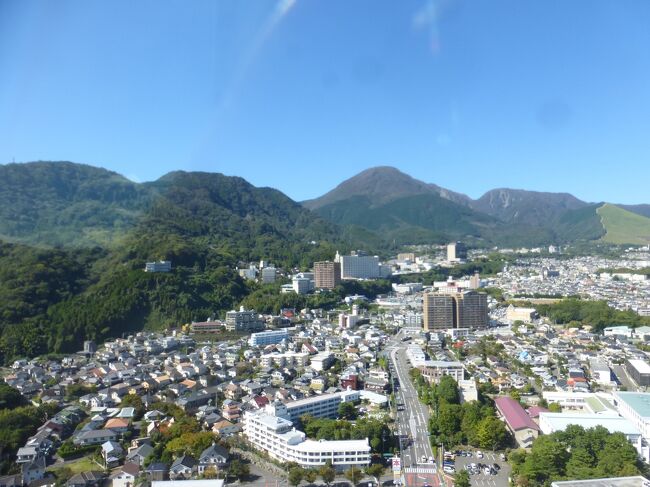 別府の住宅街（民家）などが広がっています。