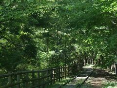 ●廃線小路＠井川湖界隈

その廃線跡が、今は遊歩道として整備されています。