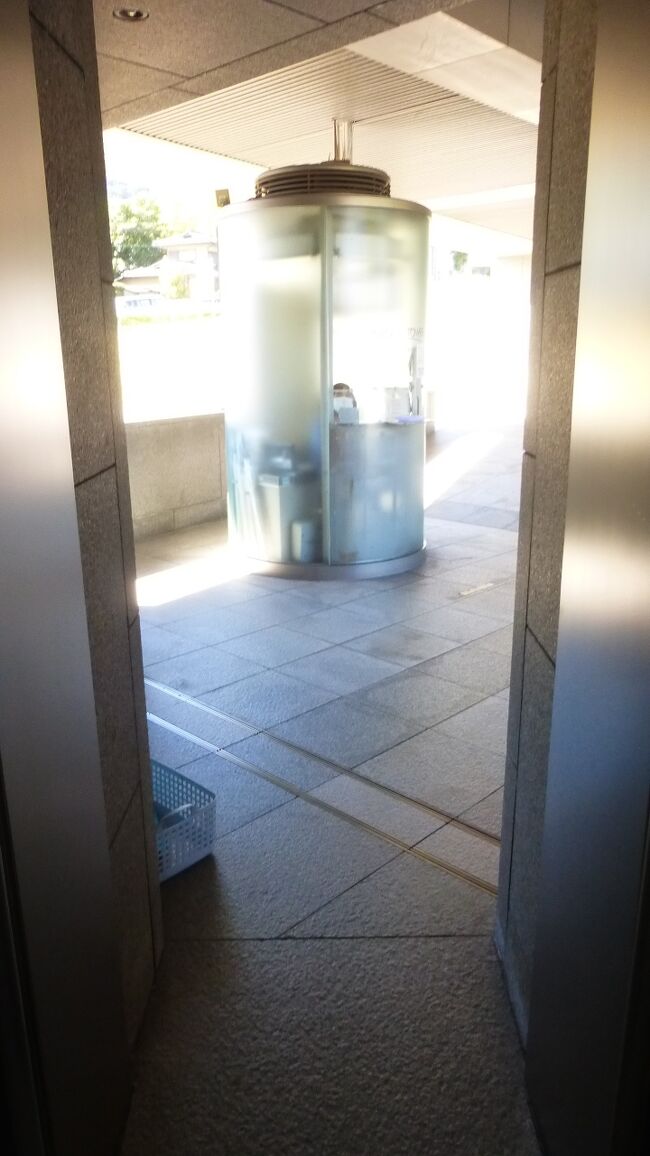 地上に降りて来ました。