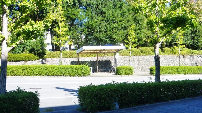 そのバス停です。