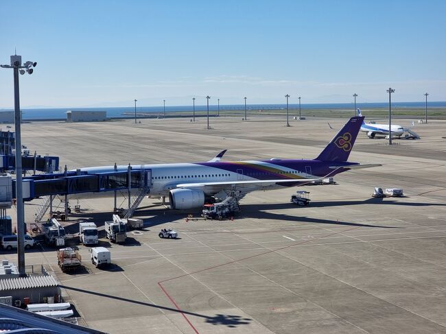 天気は　最高！<br /><br />国際線　飛行機は　タイ航空だけ！