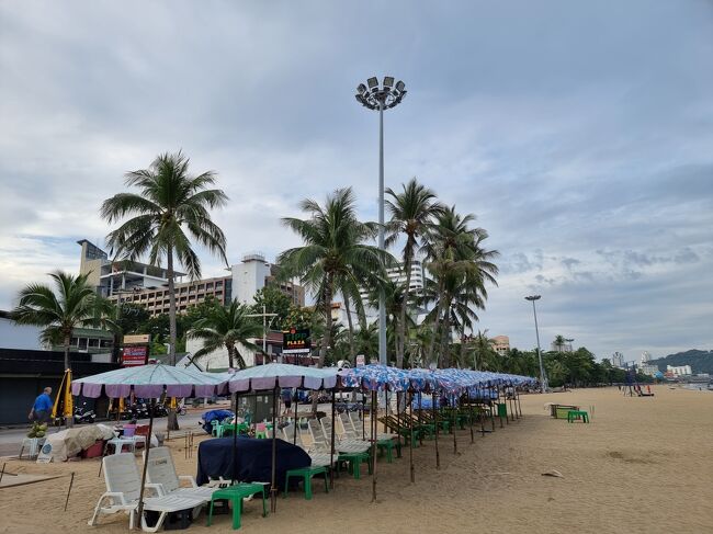 ３年ぶりなんですね～　この景色！