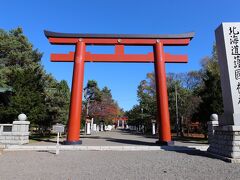 護国神社の一の鳥居です。晴れていますが、これは20日（3日目）に雨に当たらずやっと撮れた写真です。