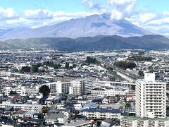 マリオスには最上階に展望室があります。
盛岡市内を見ることができました。
岩手山の方向を見ると、東北新幹線と秋田新幹線の線路が分かれているところが見えます。
新幹線が走っているところは見れませんでしたが、走るところをこの場所から見たら、きっとプラモデルみたいに見えるんでしょうね。