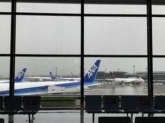 遠出が叶わぬ期間中も、ホヌの遊覧飛行や、ただどんな様子が心配で訪ねてきた愛しの成田空港。ようやくパスポートと共に。