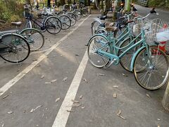 近場の駐車場が、今年は辞めてしまって無いようです。

自転車で来ている方も多いですね。

