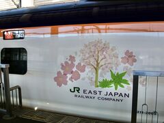 JR東日本パスの旅1日目、次は山形新幹線で福島駅から山形駅を目指す。

ここで、パスに含まれている4回分の指定席枠1つ目を使用。
だが、この区間、実は指定席がなくても空席があれば乗れるルールだったと後から知る。
まだ1日目なのに、無駄にカードを切る羽目に。
惜しいことをした。