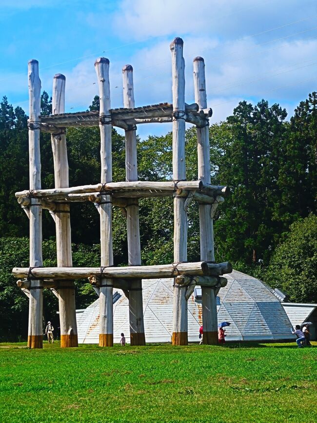世界の遺跡と名建築 6 大型本（大型本） Amazon.co.jp: イラスト解剖図鑑 世界の遺跡と名建築 : ジョン