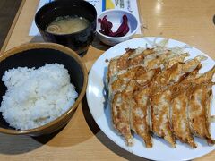 ●石松餃子＠JR/浜松駅

石松餃子定食(15個)頂きました！
浜松餃子につきものの「もやし」もちゃんとついています。
実は、この「もやし」の添付、石松餃子さんが元祖なんだそうです。