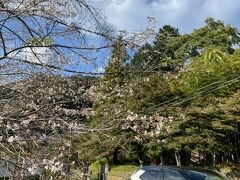 車の中は寝息がスースー
普段は助手席昼寝係の私も今日は運転手

小原を通った辺りからチラホラ桜が見えて来た
紅葉と桜のコラボには少し早いが
愛車ヤリクロちゃんと記念写真