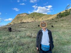 那久岬へ。岬に行く途中は草原に牛さんがのんびりと草を食べていました。