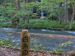 12:57
白糸の滝（しらいとのたき）

◇奥入瀬渓流館から
　走行距離：約10.6km
　かかった時間：約2時間10分（食事休憩含む）
　高低差：＋146m