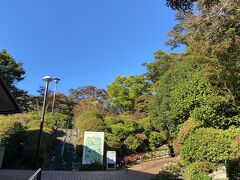 翌朝、晴天です！
箱根登山ケーブルカーの始発まで時間があったので　強羅公園までお散歩。
開園時間前で入園できずにチラ見だけ。。