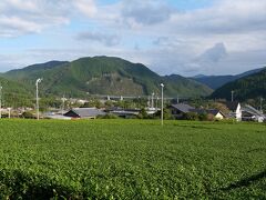 三瀬谷駅を通り過ぎて、大台厚生病院で降ります。
１５時２５分。
紀勢本線の列車はまだ２時間後までないので、この周辺にある北畠家関連の史跡巡りをしました。
ここは茶畑が多く、お茶の名産地のようです。