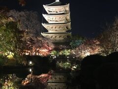 東寺(教王護国寺)