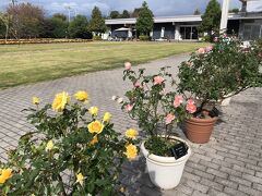 10月24日＊月曜日

母と平塚市の花菜ガーデンにやって来ました(^O^)／
天気はどんより＆風も強いですが、HP確認したら
秋バラがいい感じに見頃みたいです！