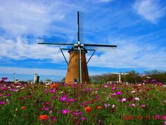 オランダ風車リーフデをバックに映える画像。