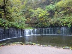 駐車場から少し歩いたところに白糸の滝があります
富士宮とは大きさが違いますが、でも素晴らしい景色でした
