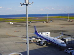 13:00ごろ　高速バスで羽田空港到着。
飛行機の発着見るだけで何故こんなに楽しいのか。