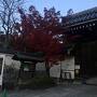 京都　1 レンタルサイクルで　② 東寺ライトアップ