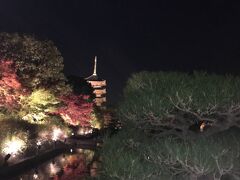夜は冷えてきてたので、暖かくして東寺ライトアップへ。
池に映り込むし、ライトアップもあって写真取りやすい。