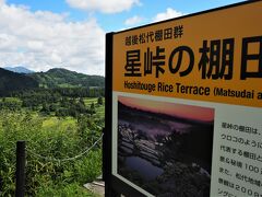 　トコロテンを楽しんだ後国道４０３号線で十日町市松之山地区に移動し「星峠の棚田」に到着。
(　https://www.tokamachishikankou.jp/spot/hoshitougenotanada/　　)