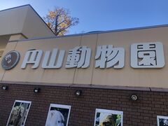 初めてきます。旭山動物園は弾丸では遠いので、ホッキョクグマいるし。