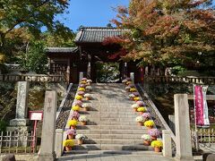 14:30　修禅寺

菊まつりのピンクや黄色、白い花と、色づき始めた紅葉がきれい。