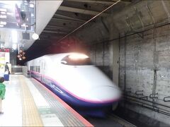 でもこの「タッチでGo! 新幹線」は、自由席の特急券・乗車券にしか利用できないので、今回は往復自由席で。まあそのほうが安く済んで助かります。越後湯沢までは片道6,050円（指定席だと6,580円）。

上野から自由席で乗る人がどれくらいいるか分からなかったので、早めに来てみたのですが、並んでる人は数人程度で全然余裕でした。

越後湯沢駅で12時15分発の上越線に乗り換えるので、
新幹線は10時22分発→越後湯沢に11時34分着の「とき315号」あたりに乗る予定でしたが、

その１本前の 9時58分発「とき361号」がちょうど来たので、もうこれに乗っちゃって早めに行くことにしました。