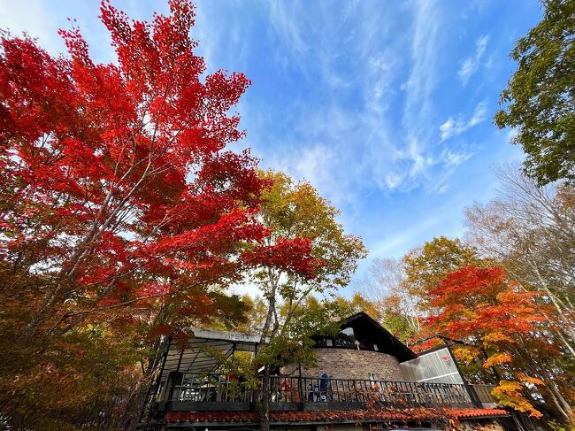 清里で紅葉をみる 清泉寮 八ヶ岳倶楽部 萌え木の村Rock まきば