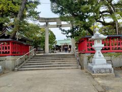 唐津の街の中心部にある唐津神社は入口にそびえたつ白い鳥居が印象的な奈良時代に創建された歴史ある古社です。
