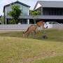 平城宮跡と天平時代創建の法華寺