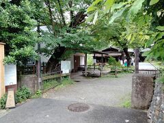 住宅街を少しあるくと、目的地の武相荘に到着。