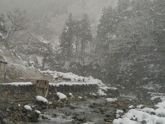 早朝で人もいないので幻想的な風景でした。